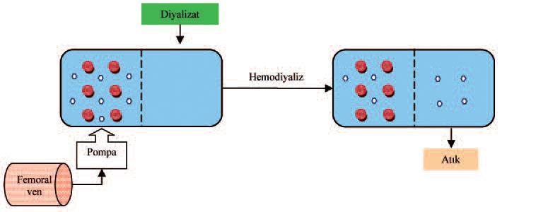 Konvansiyonel hemodiyalizde kan ve diyalizat hollow- fiber denen yarı-geçirgen bir membran ile ayrılmıştır.