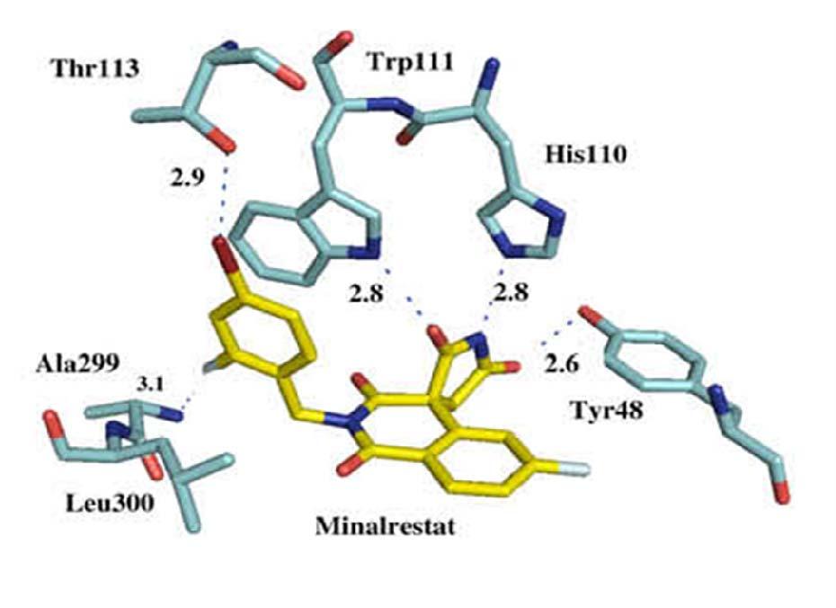 Şekil 2.23 ALR2 enzimi ile inhibitörün (minalrestat) bağlanma bölgeleri (Carbone vd. 2009) Tolrestat ile ALR2 kompleksinin kristal yapı incelemelerinde ise (Steuber vd.