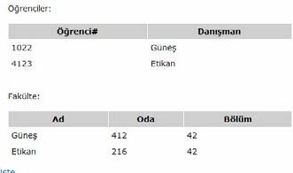 Örnek Bir Tabloyu