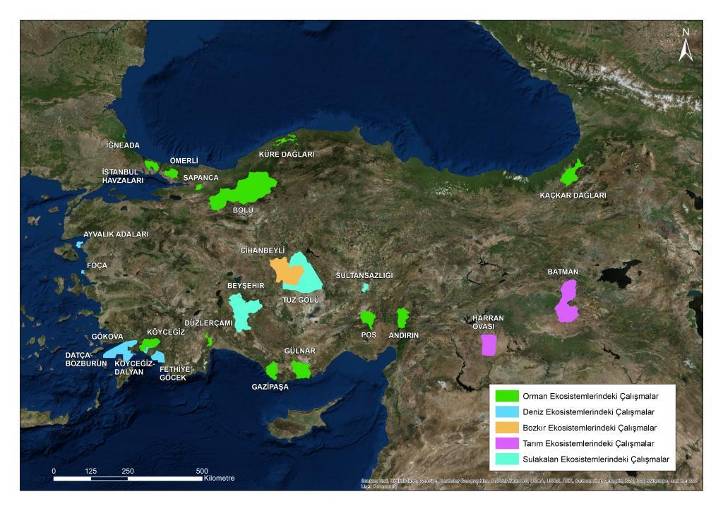 Türkiye de Yapılan Çalışmalar Orman Ekosistemlerindeki Çalışmalar Deniz Ekosistemlerindeki Çalışmalar