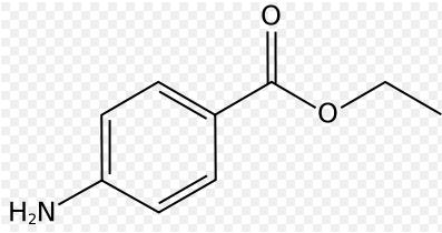 4-Aminobenzoik asit esterleri