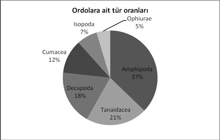 25 3.2.2 Ordoların Kalitatif Özellikleri Tespit edilen türler içinde Amphipoda 16 türle (%37) ilk sırayı alırken, bu ordoyu 9 türle (%21) Tanaidacea, 8 tür (%18) ile Decapoda, 5 tür (%12) ile