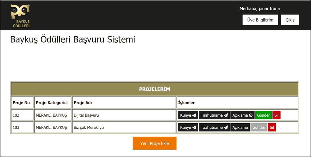 Yeni Proje Girişi Ana Sayfa: Girmiş olduğunuz projeler bu sayfada numara, kategorisi ve