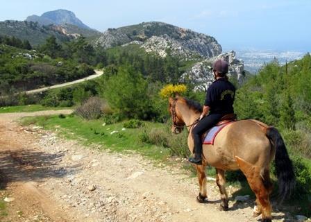 Horse Riding Interested in horse riding Travels in all seasons Expects