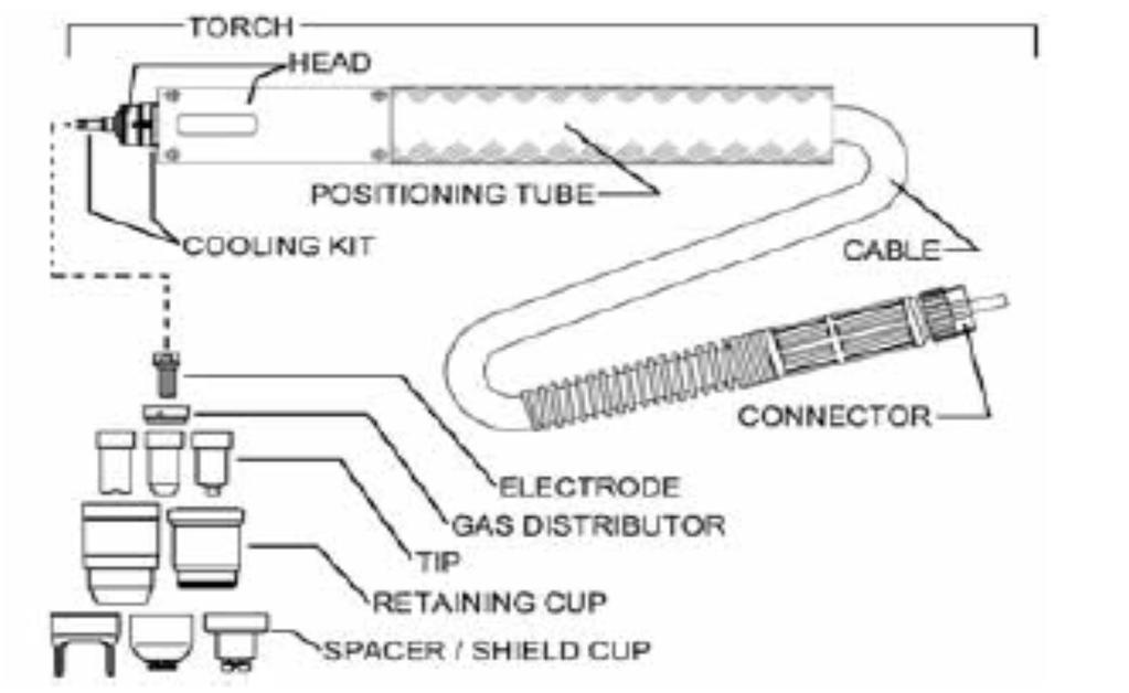 TORCH / EL TORCU