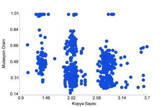 (C) bu verilerin birleştirilmiş halinin dağılım grafiği (scatter plot). (C) de Herbir işaret bir mutasyona işaret eder. 3.