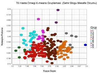 T6 homojen hücre hattı (A), T6 heterojen hücre hattı (B) ve T6 hasta örneği (C) verileri için k-means gruplaması uygulanmış kopya sayısı ve mutasyon frekansı (oranı) profilleri.