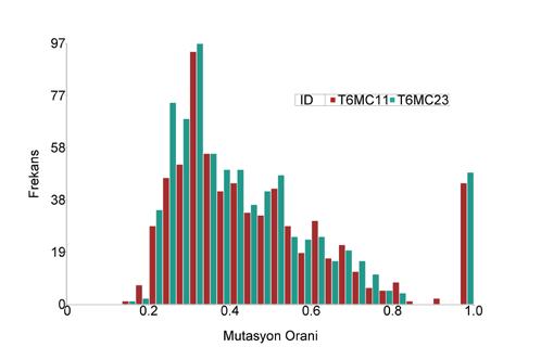 M BAYSAN Academic Platform Journal of Engineering and Science 6-2, 65-71, 2018 (A) (B) (C) Şekil 7.