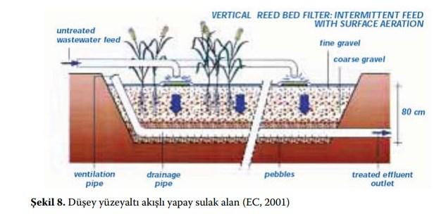 serbest yüzeyli yapay sulak alanlarda kullanılabilir Yüzeyaltı akışlı yapay sulakalanlarda anaerobik (havasız) ortamda atıksu arıtımı yapılmaktadır.