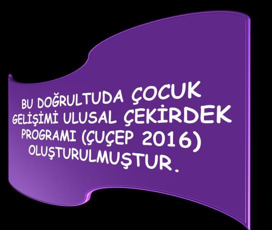 Resmi ve Özel Yükseköğretim Kurumlarında Açılan Çocuk Gelişimi Bölümlerinden Çocuk