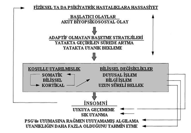 Nörobilişsel Model (Perlis, 1997) Uykusuzluğun kronikleşmesi koşullu uyarılmışlığın bir sonucudur.