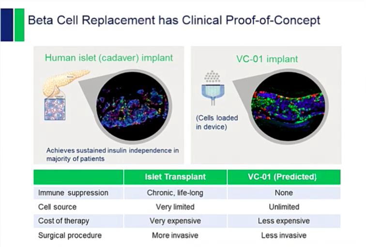 Kok Hucre Tedavisi ViaCyte : İnsan kök hücreleri eğitilerek adacık