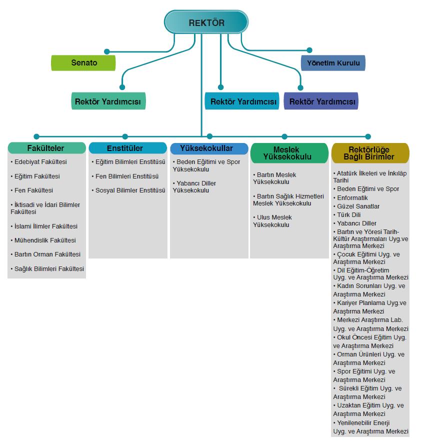 Şekil 1: Akademik Teşkilat Şeması