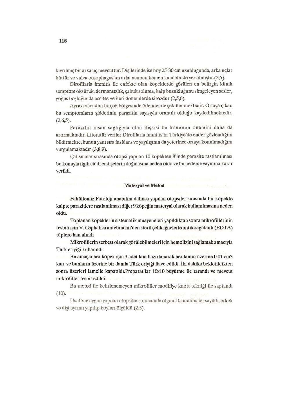 lls kıvrılm ı bir arka uç mevcuttur. Di ilerinde ise boy 25-30 cm uzunluğunda, arka uçlar küttür ve vulva oesophagus'un arka ucunun hemen kaudalinde yer almı tır.(2, 5 ).