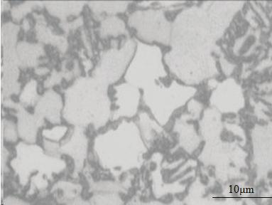 (Optical micrographs of dual phase steels produced (Etching in 2% nital)) kromat çözeltisinde dağlama sonucunda eski ferrit gri, yeni ferrit beyaz, martenzit ise siyah olarak açığa çıkmıştır.