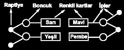 1. Şaban Öğretmen aşağıdaki tabloyu tahtaya yazarak öğrencilerinden yorum yapmasını istemiştir. Tür Kromozom Sayısı Solucan 2 3.