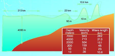 Tsunami hızı su derinliğine bağlıdır. Derin okyanusta bir yolcu uçağı hızında (800km/sn civarı), uzun dalga boylu ve düşük genliklidir.