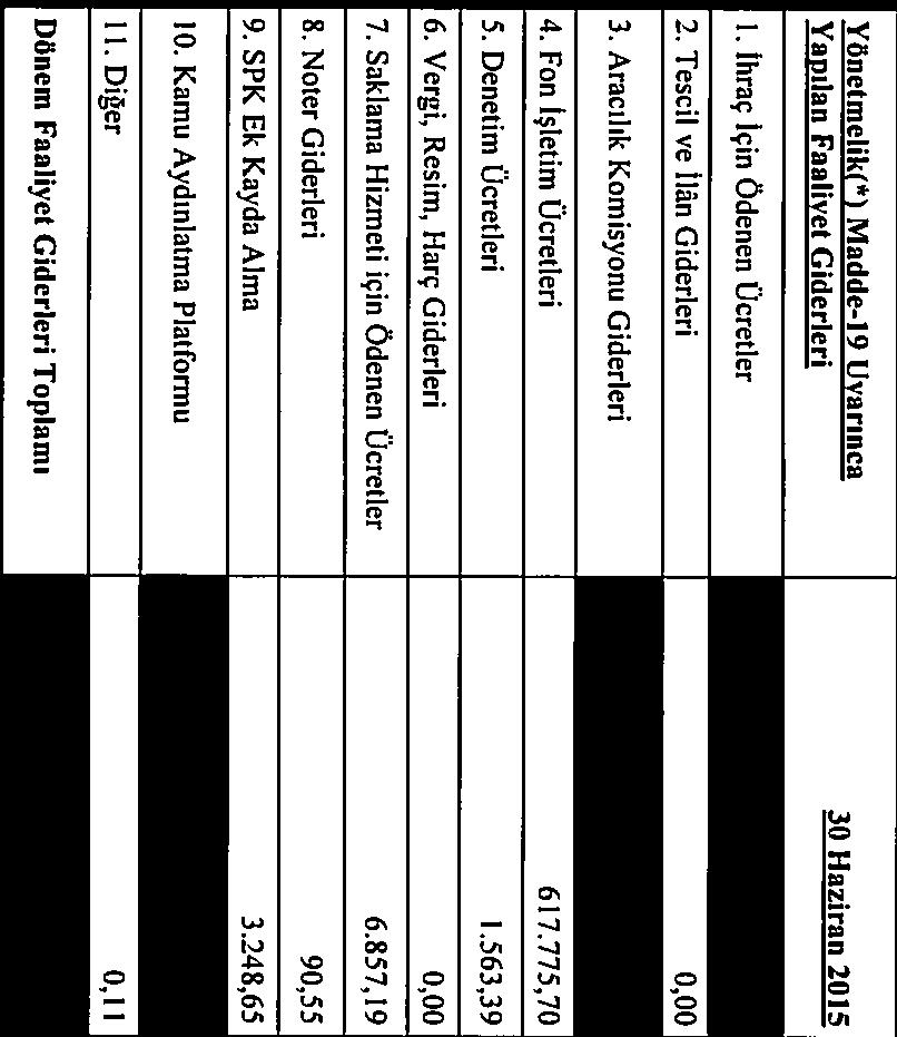 Dönemin faaliyet giderleri dağılımı ise aşağıdaki tablodaki gibidir: Yönetmelik(*) Madde19 Uyarınca.