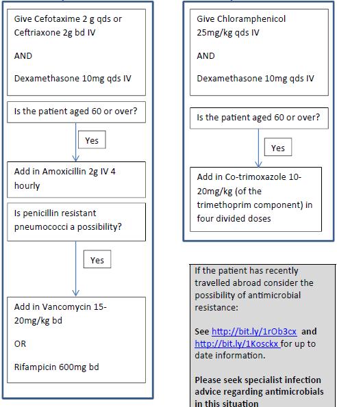 UK Adult Meningitis