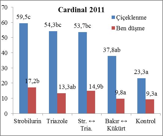 (2009-2011) yılların tamamında Bağ