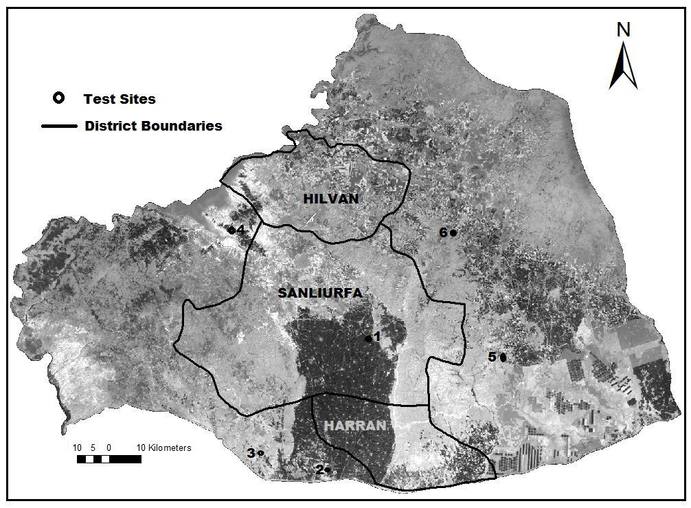 ÇKS verilerine göre ekim alan bilgileri mevcut olan Hilvan, Şanlıurfa ve Harran ilçeleri çalışma alanı olarak seçilmiştir. Şekil 4.1 çalışma alanını ve test alanlarını, Şekil 4.