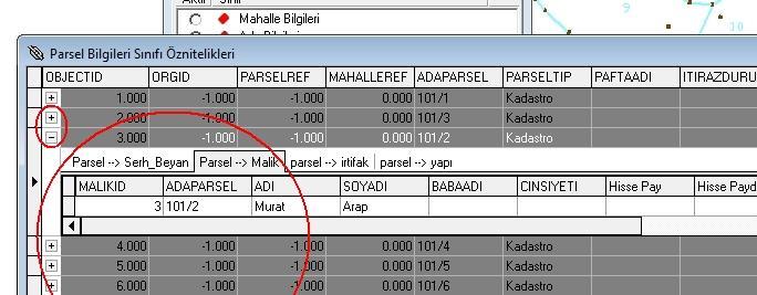 Bağlantı Yöneticisi penceresinde de Parsel Bilgileri üzerine Çift tıklandığında veya üzerinde sağ tuş ile tıklandığında açılan pencereden Tablo seçeneği