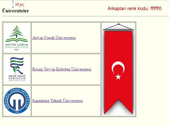 Örnek Uygulama Yandaki web sayfasını oluşturacak HTML