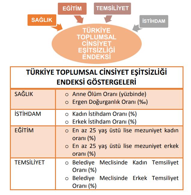 TÜRKİYE TOPLUMSAL CİNSİYET