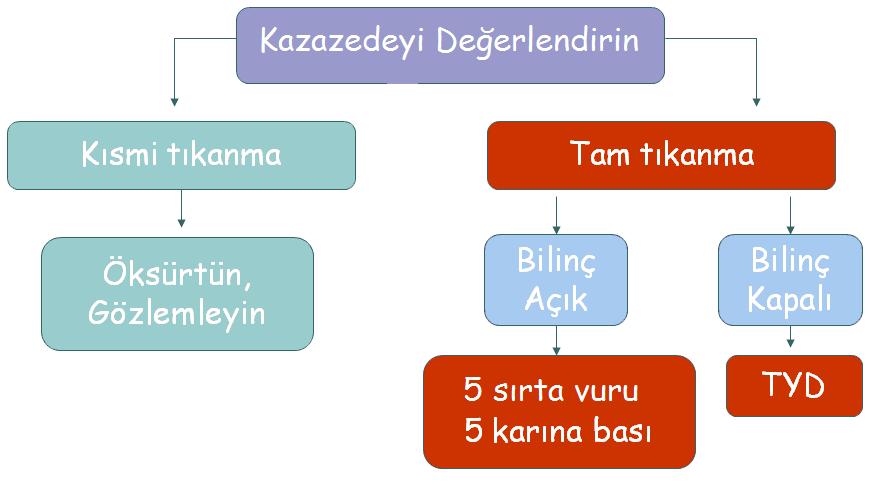 Şekil 4.1: Yetişkin ve çocuklarda heimlich manevrası algoritması 4.3.