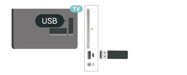 Uyarı USB Sabit Sürücü özellikle bu TV için formatlanır, burada saklanan kayıtları başka bir TV veya PC üzerinde kullanamazsınız.