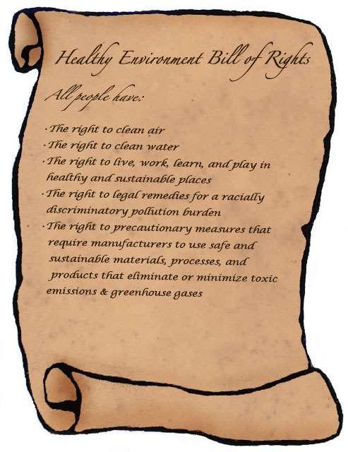 Artık bugün insanların sağlıklı bir çevrede yaşama hakkıyla eş anlamda olan çevre hakkı, insanların temel hakları arasında sayılmaktadır.