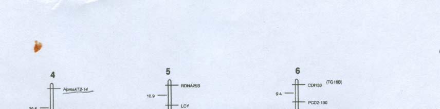 3.MATERYAL VE