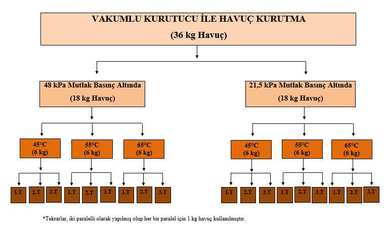 2.3.2.2.2 Vakumlu Kurutucu ile Havuç Kurutma Sıcak hava ile havuç kurutma işleminde olduğu gibi öncelikle laboratuara getirilen havuç örneklerinden uygun şekil ve boyutta olanları seçilmiş ve 7±1 mm