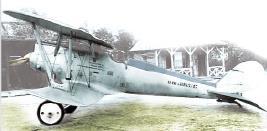 IV uçağı Alman Paşa Bölüklerinden kalmıştır. Daha sonra bu uçak Kurtuluş Savaşı nda kullanılacaktır. PFALZ D.III Pfalz D.