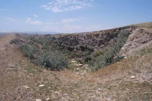 306 Figür 133- Çiğdemtepe Höyük ten Genel Görünüm