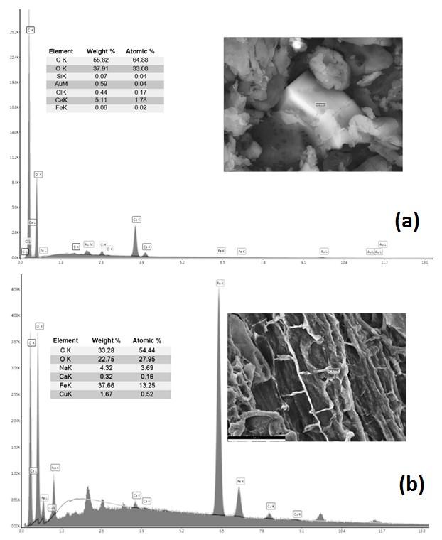 Fenolün Sulu Çözeltiden Düşük Maliyetli bir Nano Kompozit ile Giderimi Şekil 2. Eucalyptus camaldulensis kabukları (a) ve ECMC (b) için EDX analizleri 3.