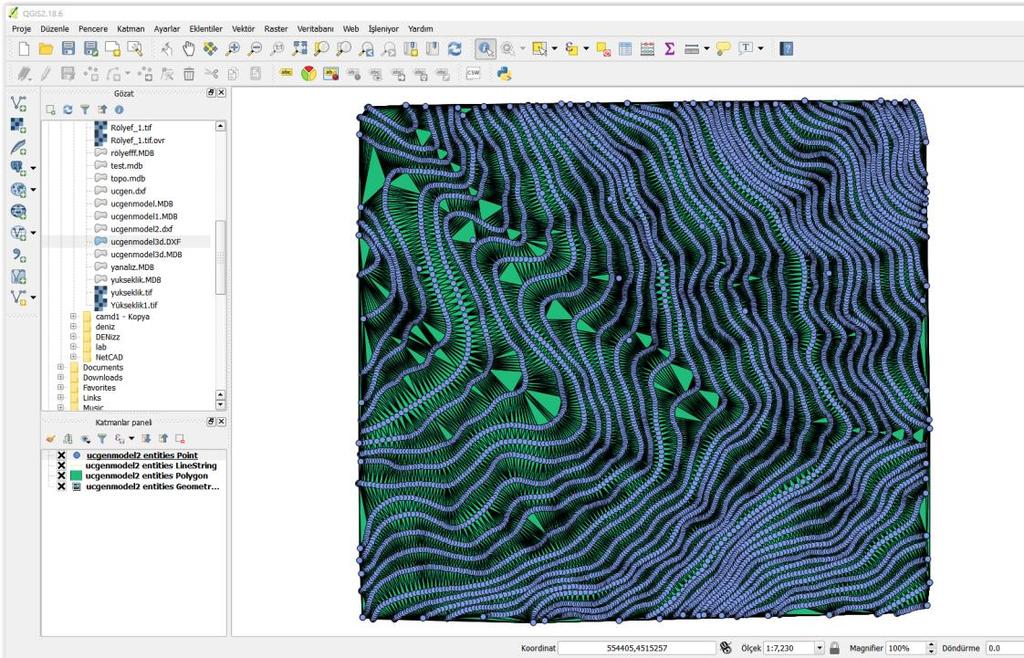 Aktarım sonucu Meydana Gelen Hatalar: Tüm katmanlar QGIS e aktarıldığı zaman bütün katmanlar nokta, line string, polygon, geometry collection katmanları altına atılmaktadır.