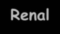 ALLOGRAFT DİSFONKSİYONUNA YAKLAŞIM Prerenal Renal Postrenal Fizik muayene CVP Volümü düzelt KB düzelt İyileşti İyileşmedi Doppler Anjiyo Revaskülarizasyon İnfeksiyon Antibiyotik İdrar tahlili İdrar