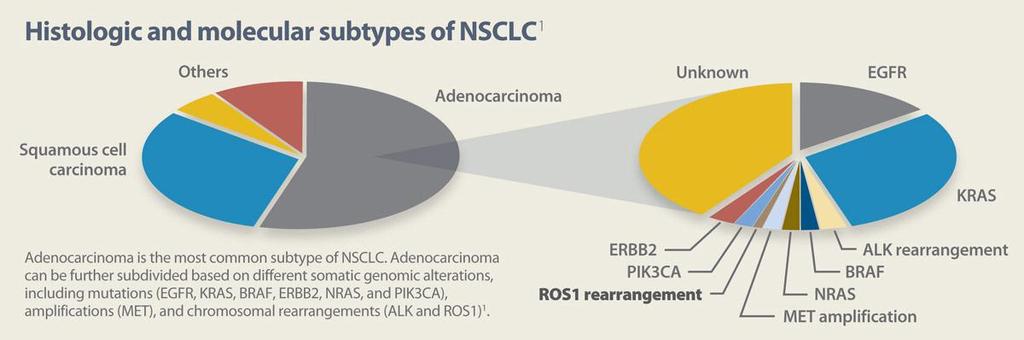 ROS -1 ROS1 rearrangements in lung cancer: a new genomic subset of lung adenocarcinoma. [J Clin Oncol. 2012] Response to crizotinib in ROS1-rearranged non-small-cell lung cancer.