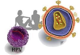 HPV cinsel ilişki ile geçen bir enfeksiyon hastalığı olup son zamanlarda toplumda giderek daha fazla duyulmaya başlamıştır.