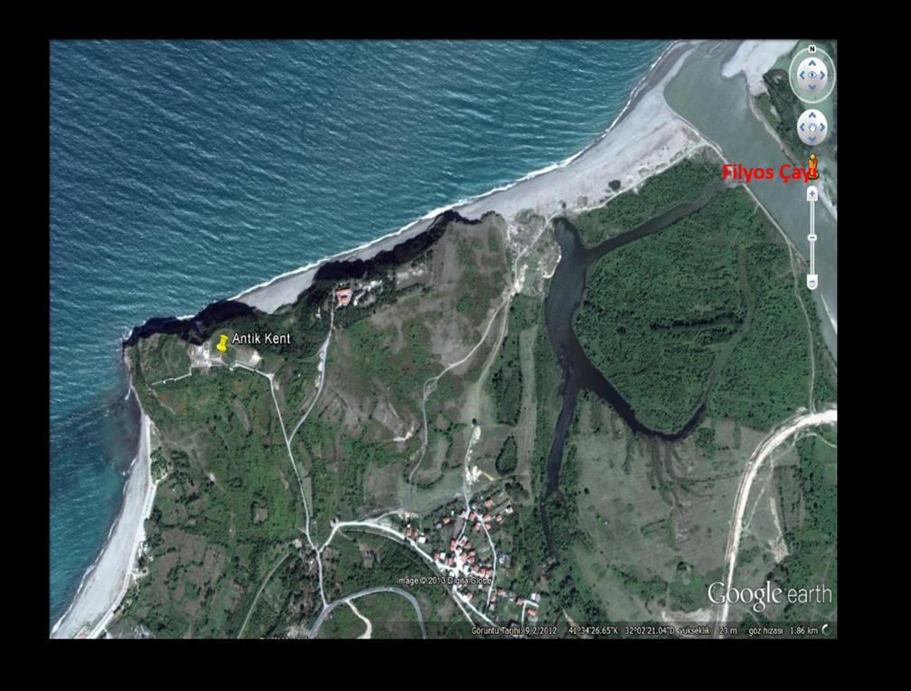 Anemi Görülen Bireylerdeki Element Seviyelerinin Antropolojik Açıdan 173 1964). Bir başka çalışmada ise kemiklerdeki Demir düzeyinin 3 ppm ile 380 ppm arasında değiştiği şeklindedir.