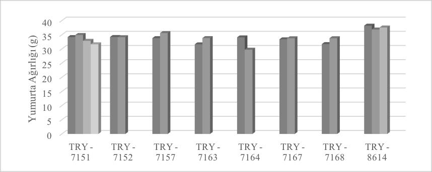 TRY-7157 marka numaralı birey ile iki yuvasından ölçülen yumurtaların ağırlıkları, Bağımlı Örneklem T testi ile karşılaştırılmıştır.