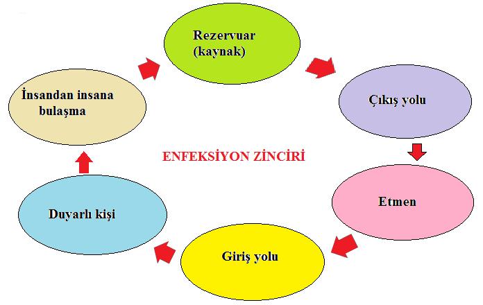 Bulaşıcı ve Sosyal