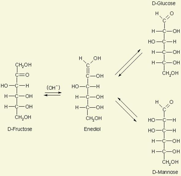 Enoller Enol şekerler ismi, enolleşme (enolizasyon) ara basamağından geçerek birbirlerine