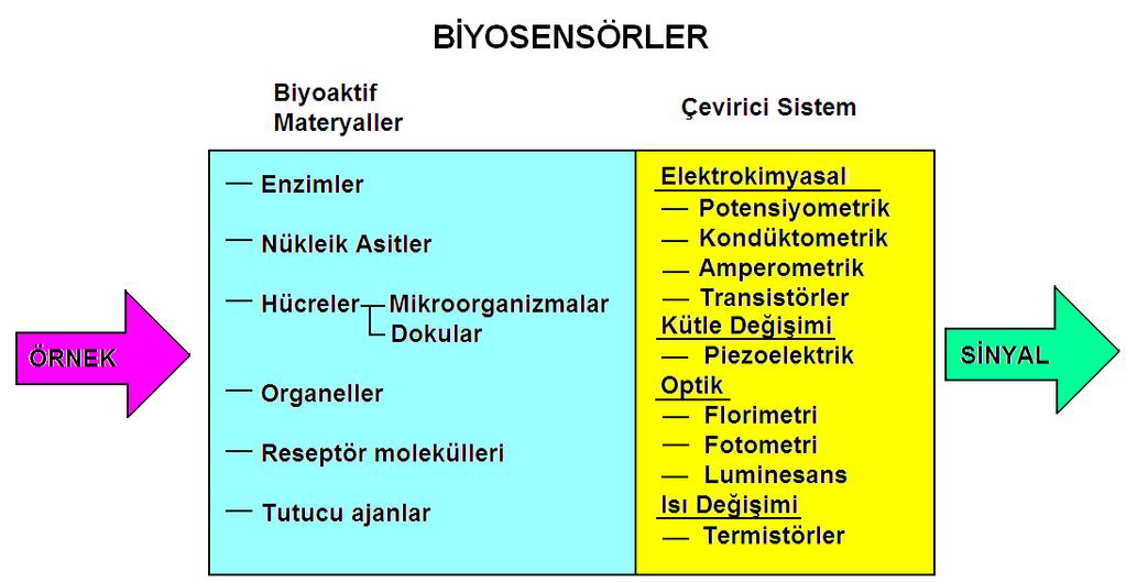 Biyosensör yeterli ölçüde seçici değilse bu eksikliği ortadan kaldırmak için başka uzun işlemlerin ilave edilmesi gerekmektedir.