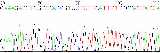 EK-3 Probandlara ait saptanan değişimlerin kromatogramlardaki görünümü.