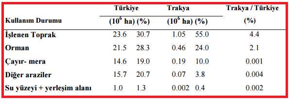 2.GENEL BİLGİLER 2.1.