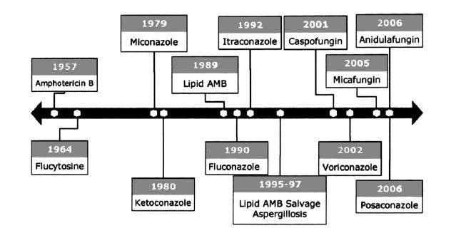 Antifungallerin Tarihçesi Son 60