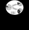 Candida skoru (toplam 5 puan) 1-YBÜ de postop yatma 1 2-TPN 1 3-Çoklu Candida koloni