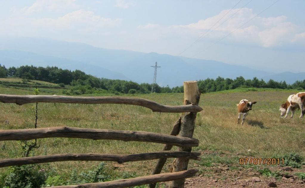 Fotoğraf 24: Canavardoruğu tepe